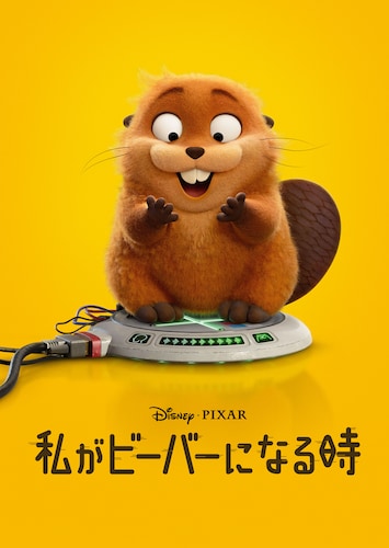 私がビーバーになる時