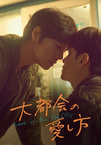 大都会の愛し方～Love in the Big City～