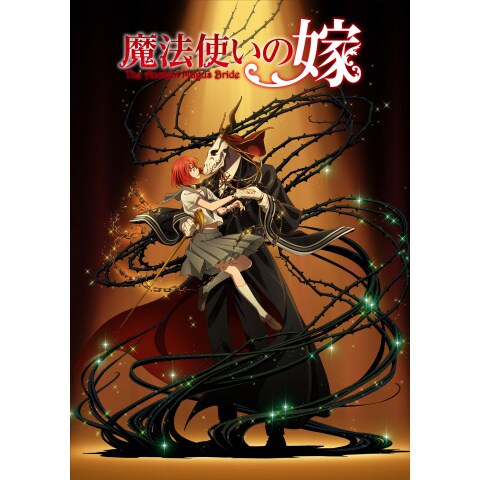 魔法使いの嫁 第2話 第24話のまとめフル動画 初月無料 動画配信サービスのビデオマーケット