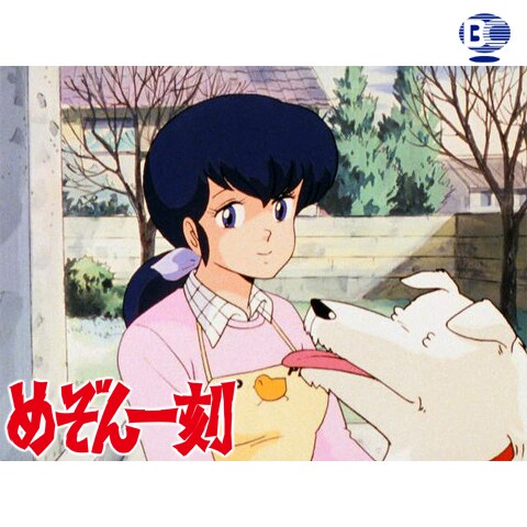 めぞん一刻 デジタルリマスター版 第1シーズン 4 48のまとめフル動画 初月無料 動画配信サービスのビデオマーケット