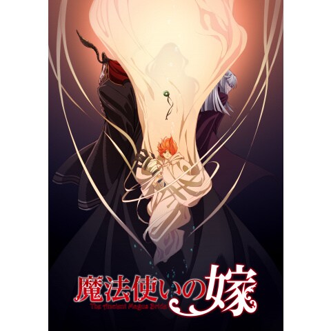 魔法使いの嫁 第2話 第24話のまとめフル動画 初月無料 動画配信サービスのビデオマーケット