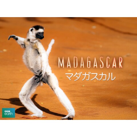 マダガスカル 第1話 第3話のまとめフル動画 初月無料 動画配信サービスのビデオマーケット