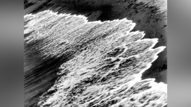 ラルフ・スタイナーの「波と海藻」