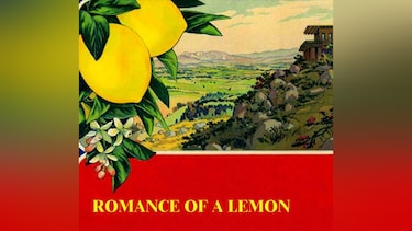 レモン史と栽培