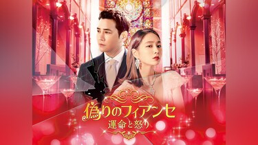 偽りのフィアンセ~運命と怒り~