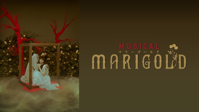 ミュージカル『マリーゴールド』