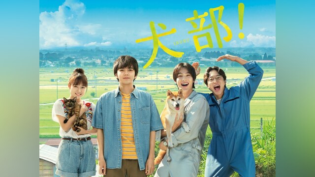 犬部!