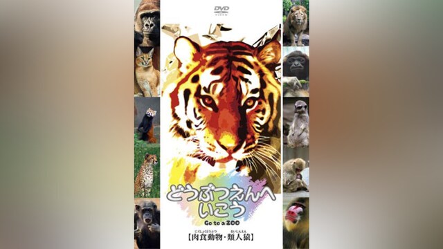 どうぶつえんへいこう【肉食動物・類人猿】