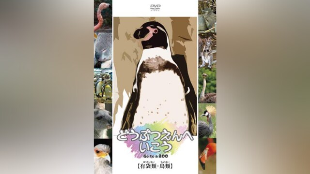 どうぶつえんへいこう【有袋類・鳥類】