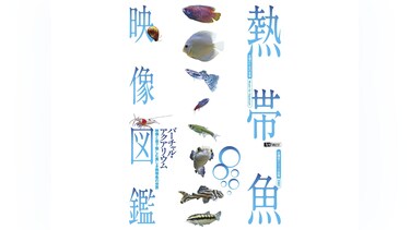熱帯魚映像図鑑 バーチャル・アクアリウム