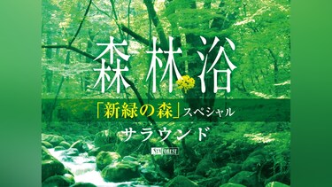 森林浴サラウンド「新緑の森」スペシャル