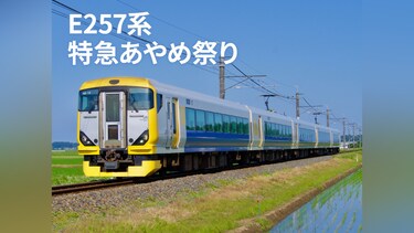 E257系特急あやめ祭り
