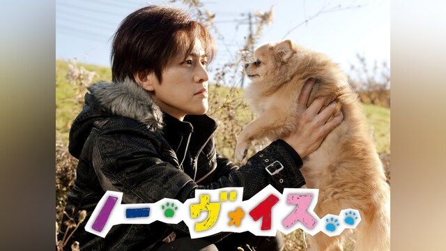 ノー・ヴォイス