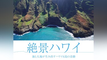 絶景ハワイ 海と大地が生み出すハワイ4島の奇跡