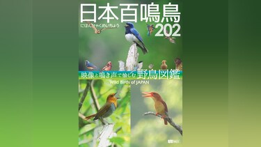 日本百鳴鳥 202　にほんひゃくめいちょう/映像と鳴き声で愉しむ野鳥図鑑
