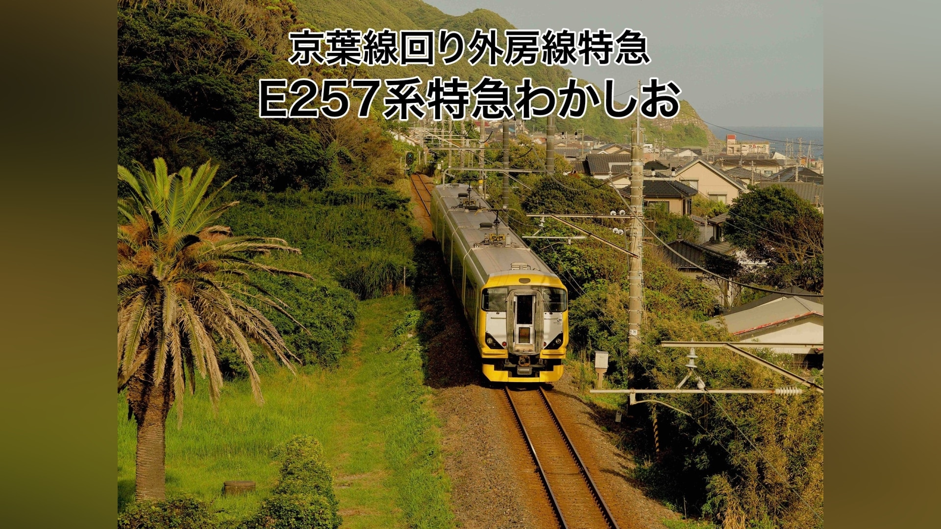 ◇新品DVD☆『E257系特急 わかしお（安房鴨川～東京） 』電車 鉄道 ☆ - DVD