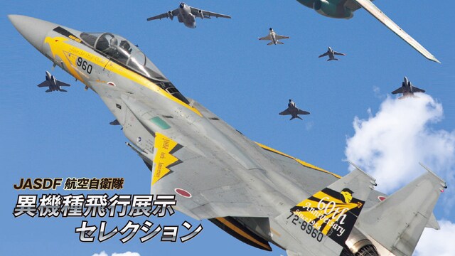 JASDF 航空自衛隊　異機種飛行展示 セレクション