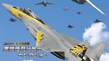 JASDF 航空自衛隊　異機種飛行展示 セレクション