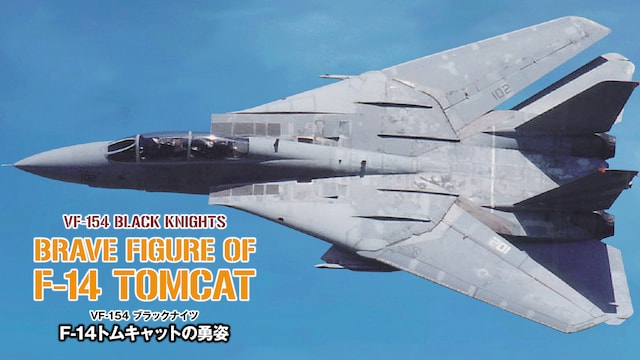F－14トムキャットの勇姿