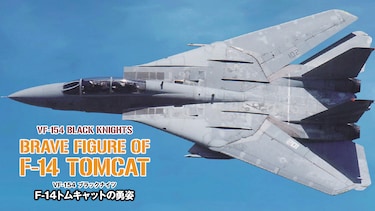 F－14トムキャットの勇姿