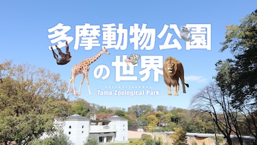 多摩動物公園の世界 Tama Zoological Park