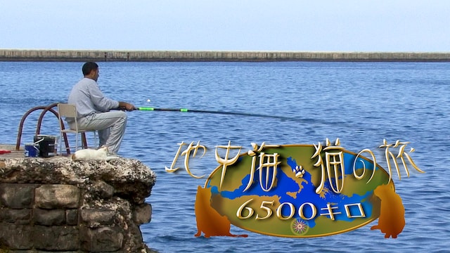 地中海・猫の旅6500キロ Cats of the Mediterranean Sea