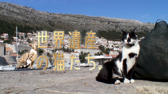 世界遺産の猫たち Cats of the World Heritage