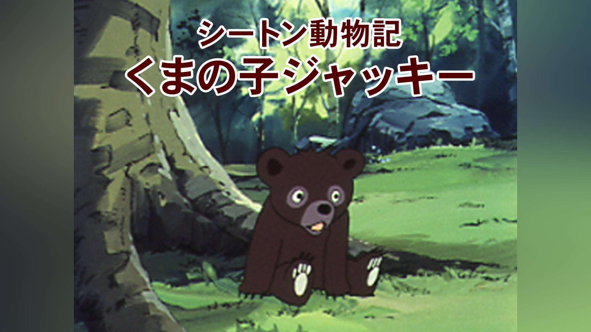 シートン動物記 くまの子ジャッキー」アニメ/キッズ |【無料体験】動画 