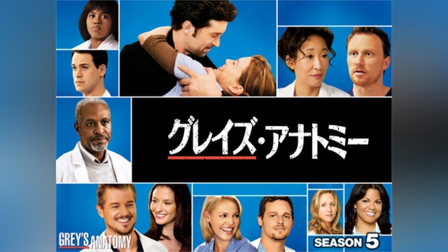 グレイズ・アナトミー シーズン5