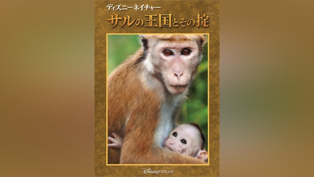 ディズニーネイチャー/サルの王国とその掟
