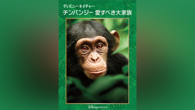 ディズニーネイチャー/チンパンジー 愛すべき大家族