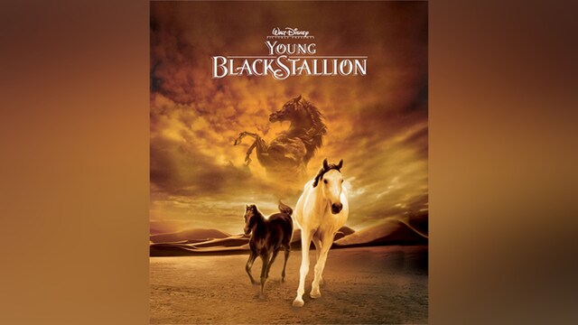 ヤング・ブラック・スタリオン