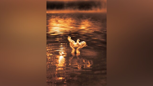 サイモン・バーチ