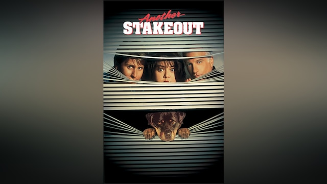 張り込みプラス