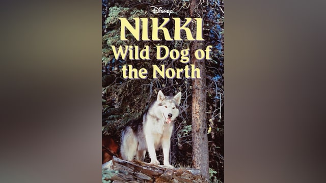 ワイルド・ドッグ