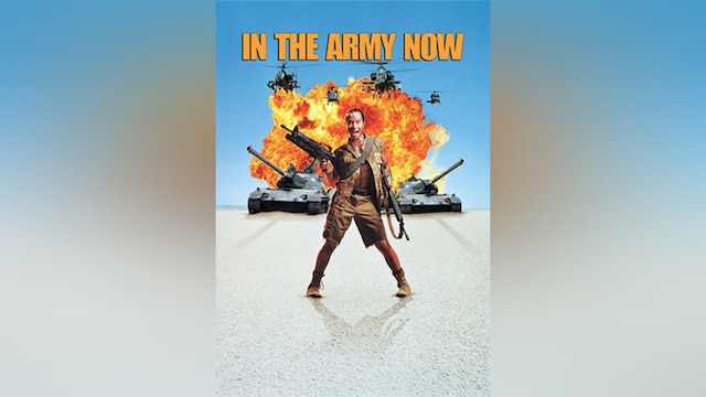 イン・ザ・アーミー/こちら最前線、異常あり