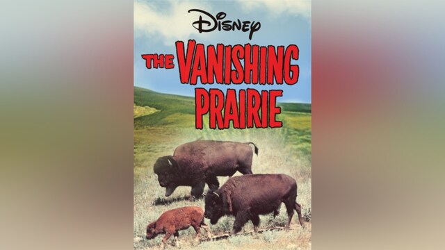 滅びゆく大草原