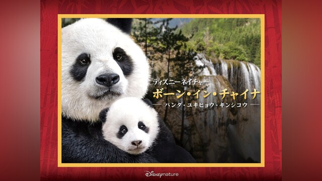ディズニーネイチャー/ボーン・イン・チャイナ － パンダ・ユキヒョウ・キンシコウ －
