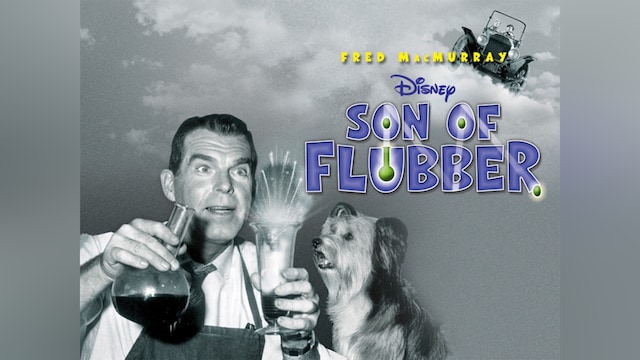 フラバー・デラックス