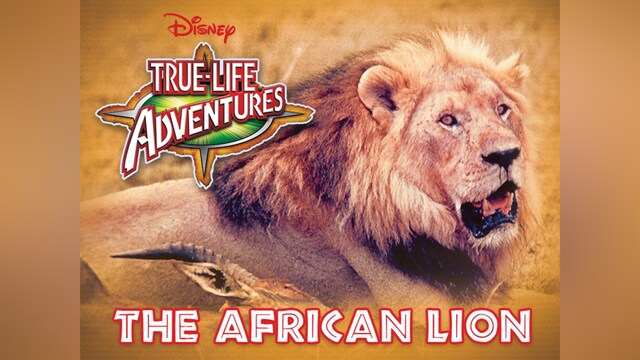 百獣の王～ライオン