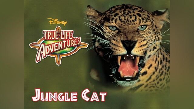 ジャングル・キャット