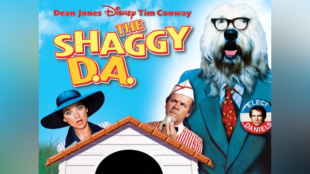 新・ぼくはむく犬