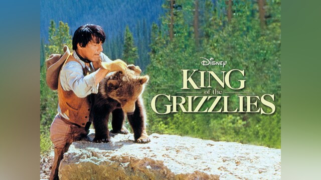 灰色グマの一生