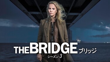 THE BRIDGE／ブリッジ　シーズン3