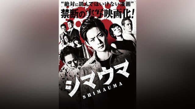 シマウマ