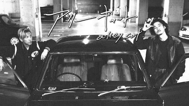 アリーキャット