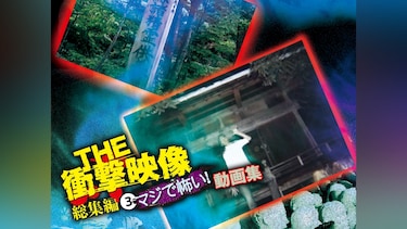 THE 衝撃映像 総集編(3) マジで怖い!動画集