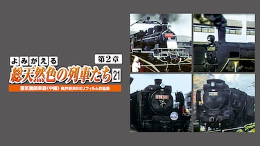 よみがえる総天然色の列車たち第2章21蒸気機関車篇中篇