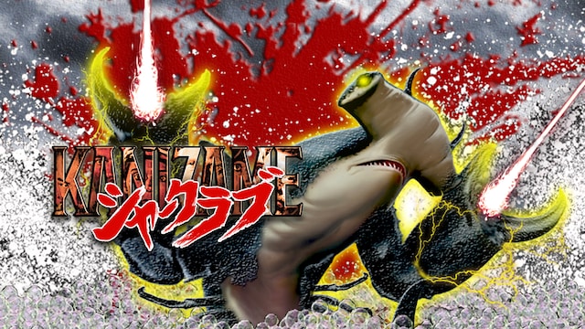 KANIZAME シャークラブ