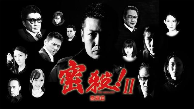 密殺!Ⅱ THE MISSATSU 激闘篇